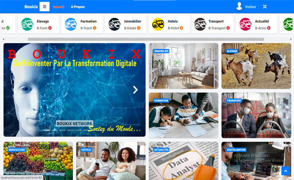 Mettre l'intelligence artificielle au service du developpement